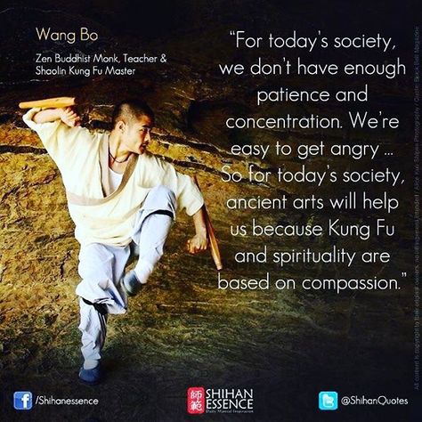 Shifu's Life Philosophy: The Foundation of Martial Excellence