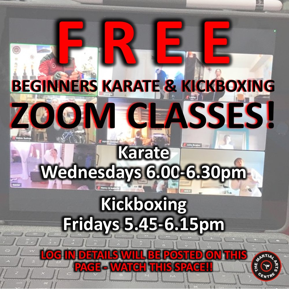 Martial Arts Classes: Cost Guide and Value Assessment