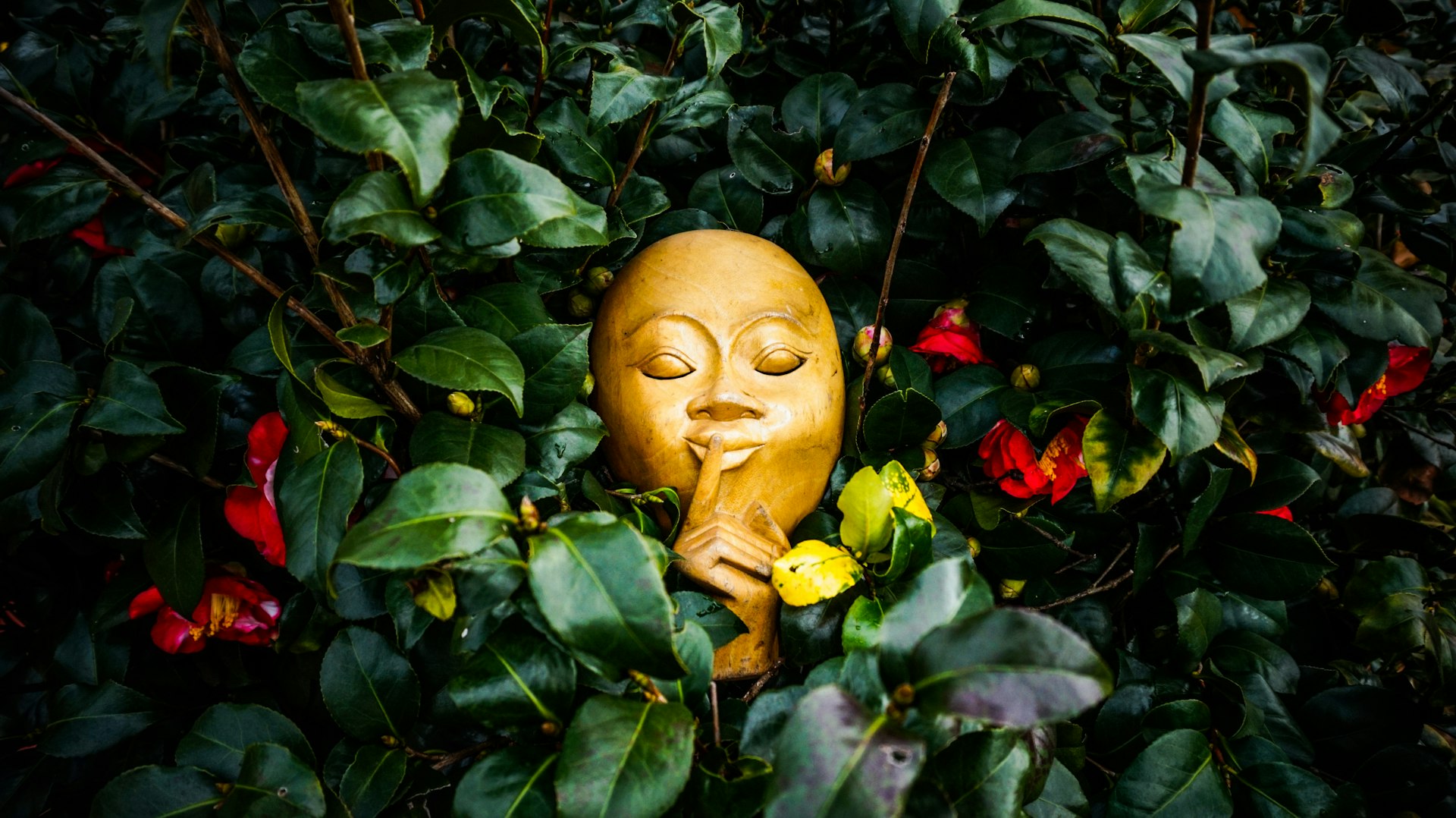 Transform Your Mind: Practical Slow Living Strategies for Lasting Mental Clarity