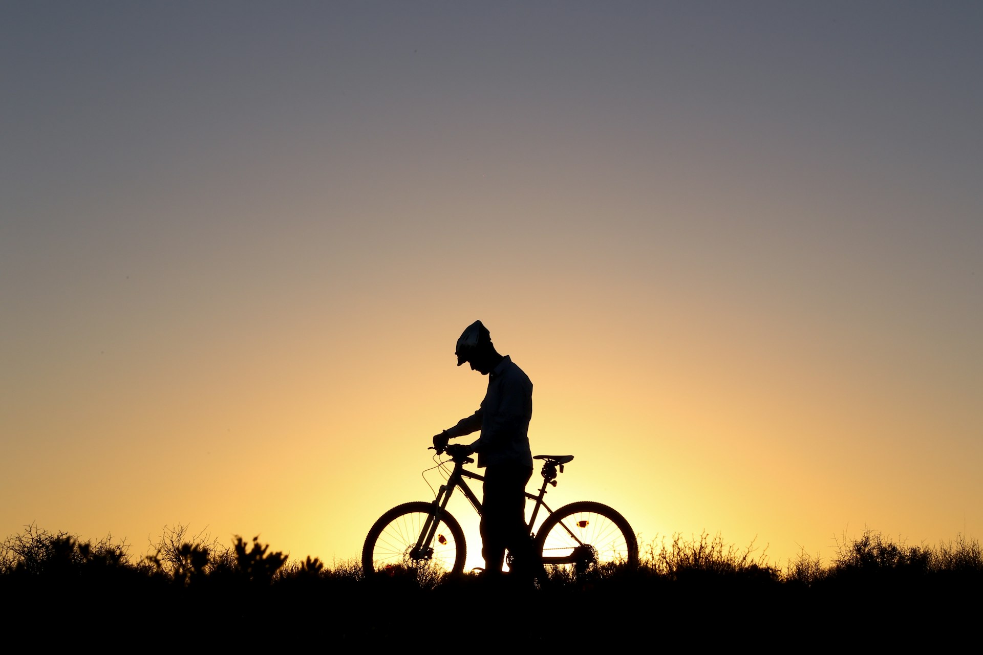Effective Strategies to Promote a Healthy Lifestyle: Practical Steps and Proven Approaches